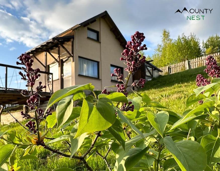 Mounty Nest Fundata Fundstica Exterior foto
