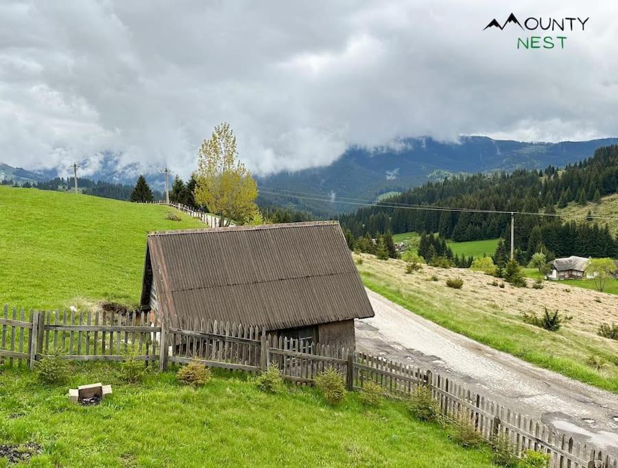 Mounty Nest Fundata Fundstica Exterior foto